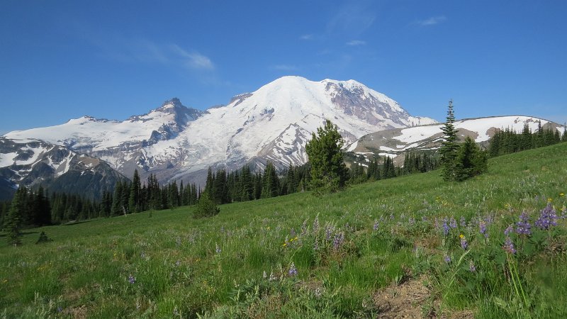 (31) Mount Rainier.JPG